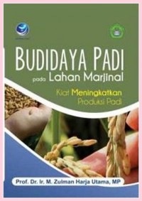 Budidaya Padi Pada Lahan Marjinal: Kiat Meningkatkan Produksi Padi