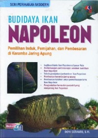 Budidaya Ikan Napoleon